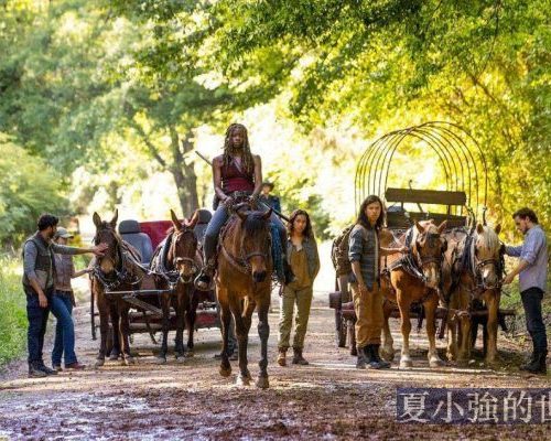非常時期如何選擇交通工具丨硬核生存指南