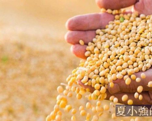 如何將食物長期保存一千年丨硬核生存指南