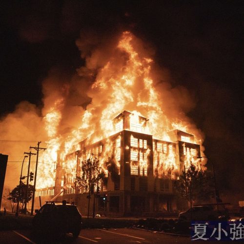 震驚！西方社會正在大肆破壞社會發展的根基！