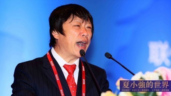 胡錫進 胡編