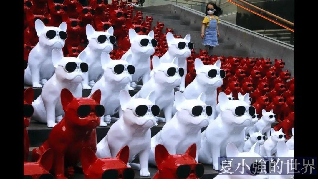 愚蠢