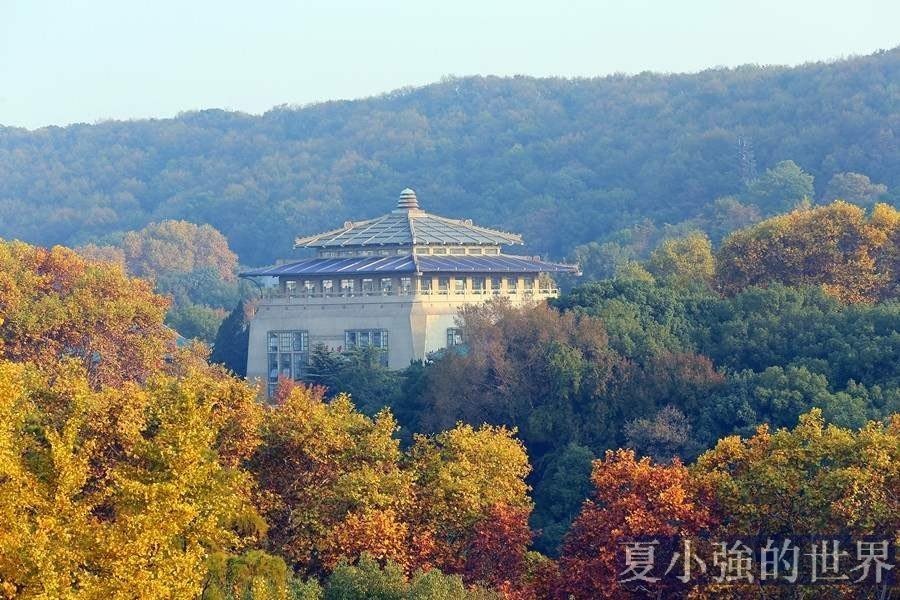 鄭州是個地球儀?這些城市的路名分分鐘逼瘋路盲!