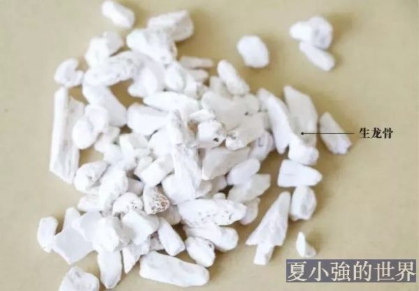 龍骨