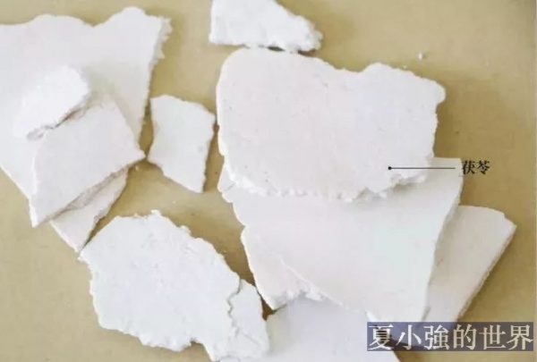 茯苓