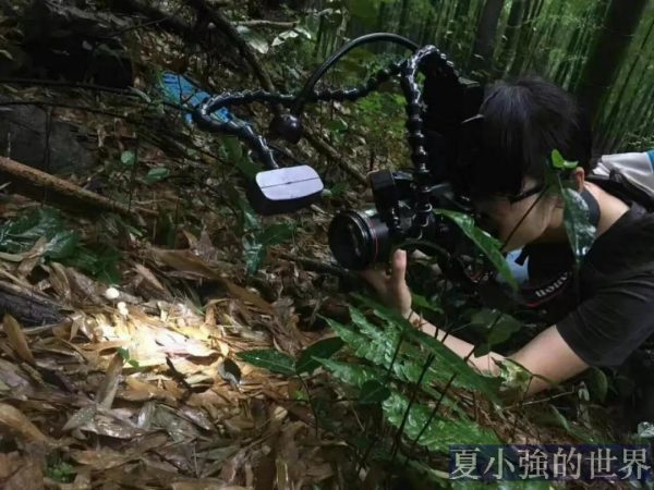 菌物世界