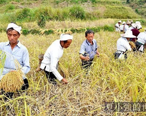 毛時代農民生活趕不上民國時期