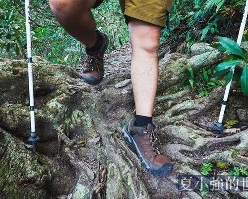 生存狂絕不是歲月靜好