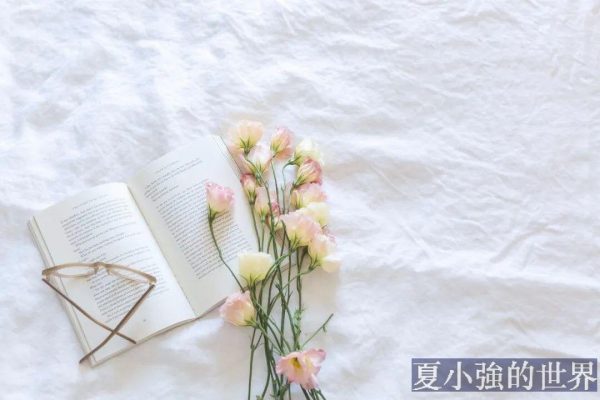小說