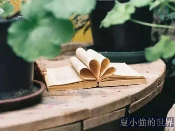 編劇