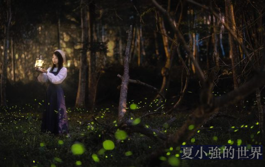 螢火蟲