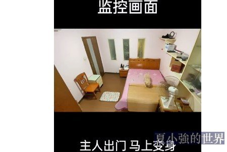 主人出門
