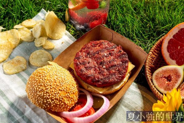 植物肉