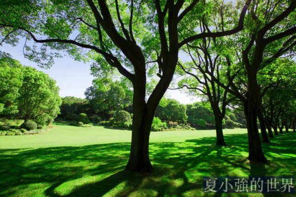 夏天