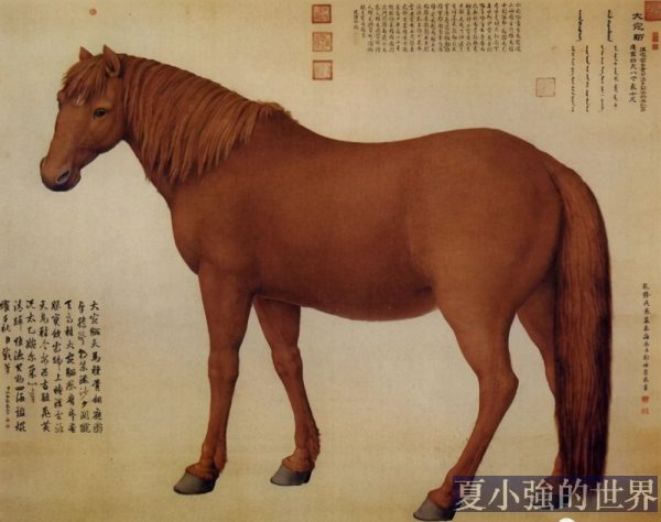 寶馬