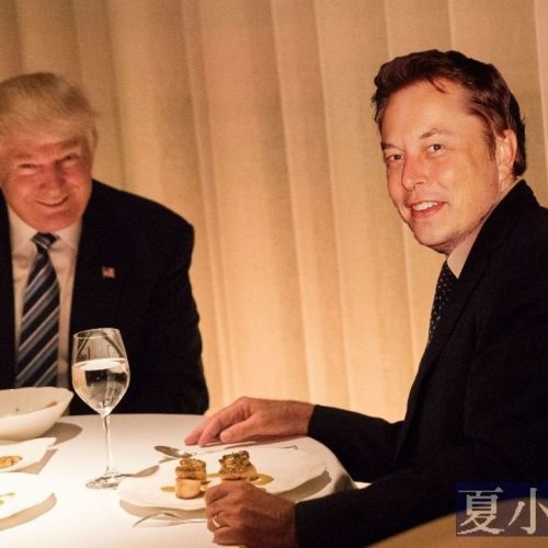 馬斯克說，各位都是樂色