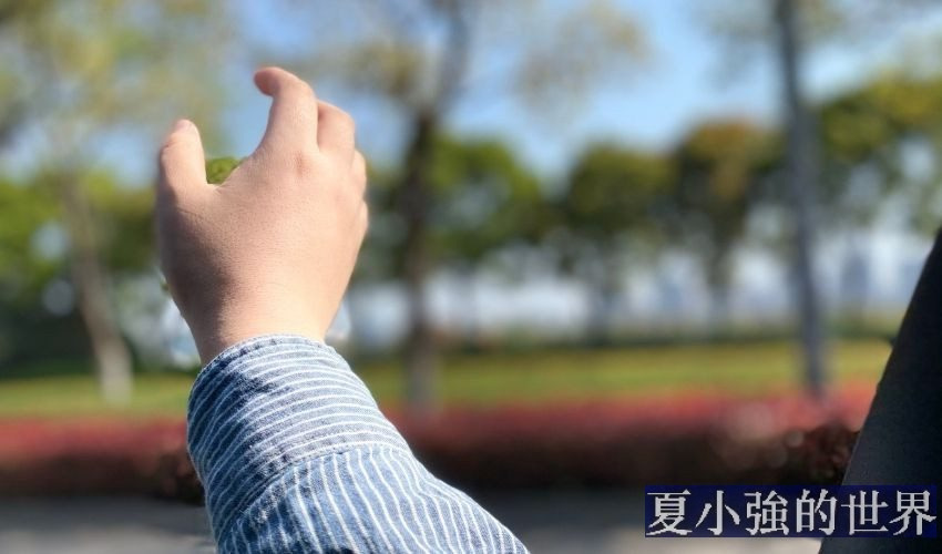 抓不住