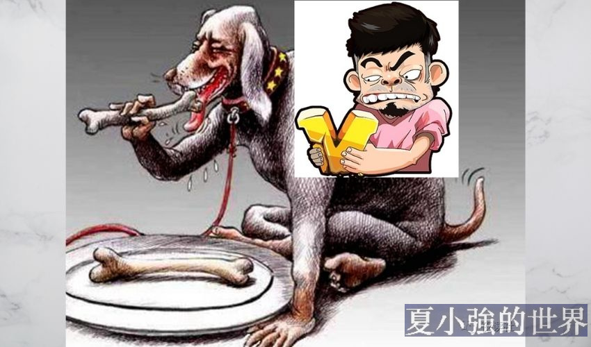 正能量大V