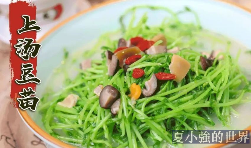 美食