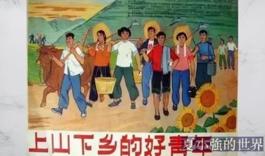 上山下鄉