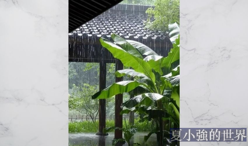 夏天