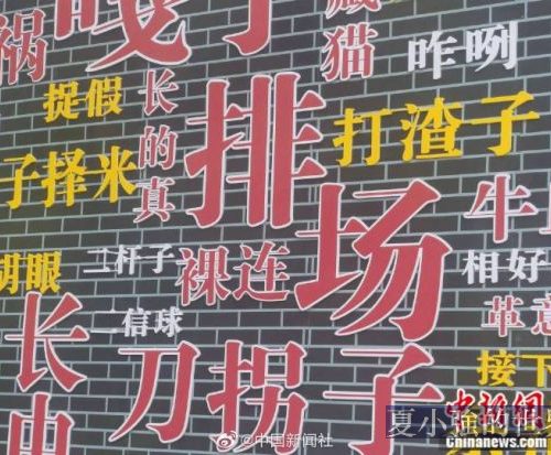 因為聽不懂河南話，「被迫」科普學習了一番，看看有沒有你會的？