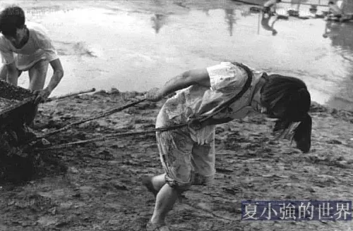 大串聯中了解到的大饑荒
