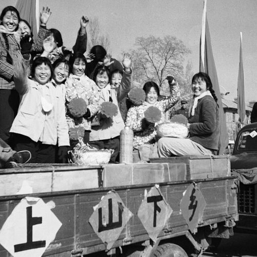 為何「六九屆」學生少有成功人士？
