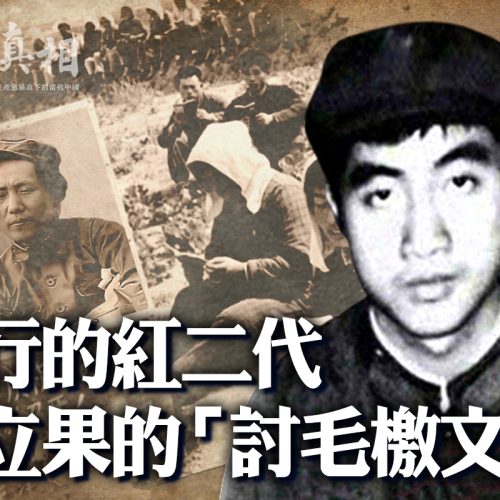 林彪之子林立果對毛的精準認識
